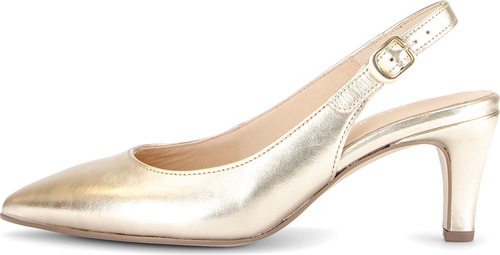 Gabor pump