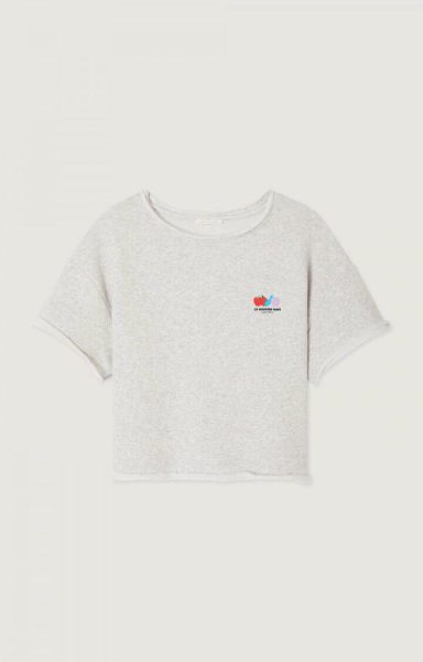 American Vintage t-shirt  atu02a-artique chine 2