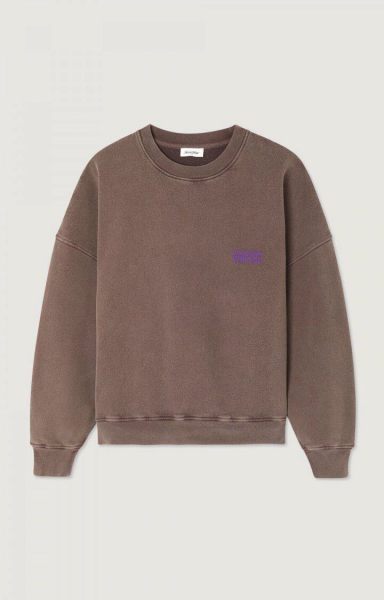 American Vintage sweater  plizzy-chataignier vintage 2