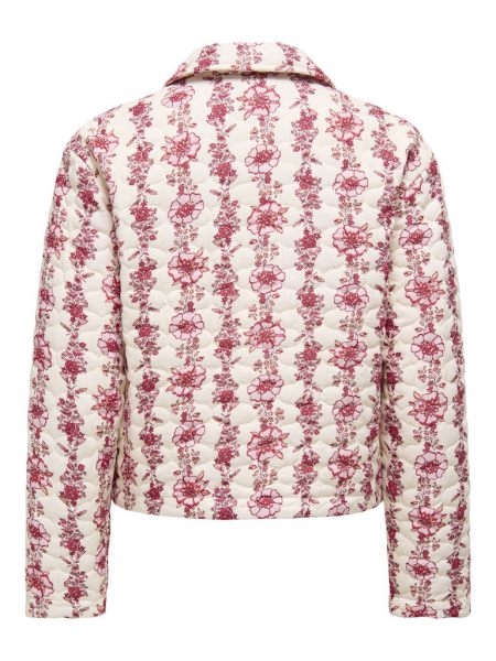 Only jas  15361117-245055004 2