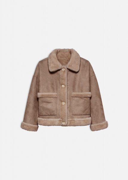 Studio Ar jas  05TL256037.01-CAMEL 2