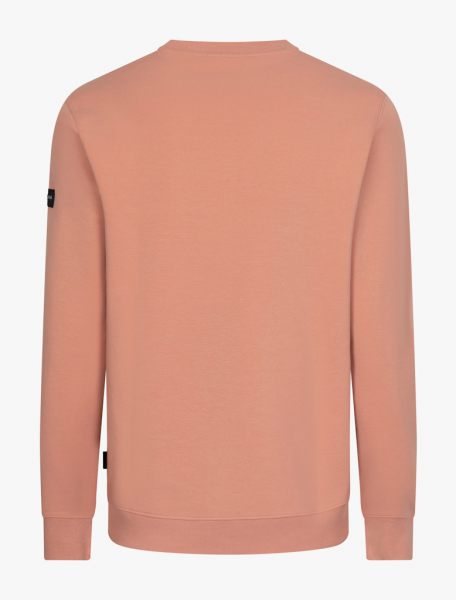 Cavallaro Napoli trui  120261008-335000 3