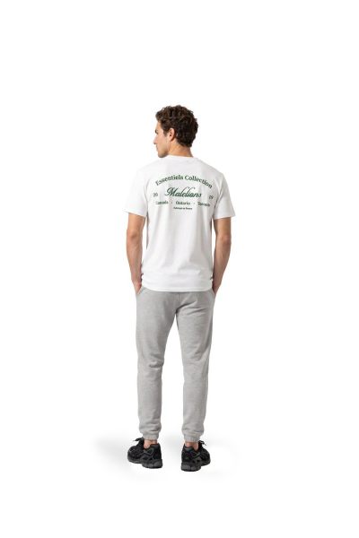 Malelions chino  MMA50026051-41003 4