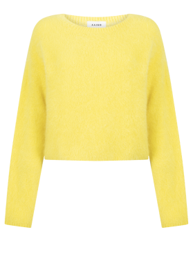 Aaiko trui  FELINE WP 389-120740