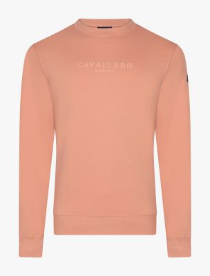 Cavallaro Napoli trui  120261008-335000