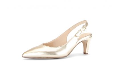 Gabor pump  81.590.62-62 1