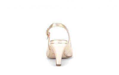 Gabor pump  81.590.62-62 3