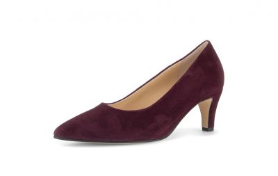 Gabor pump  3014.01.007-007