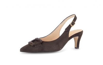 Gabor pump  3018.02.003-003