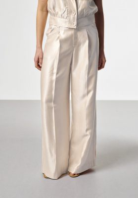 Aaiko pantalon HAILEY SHINE VIS 545-110104 3