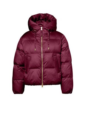 Beaumont gewatteerde jas  BM02510263-4580