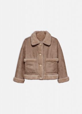 Studio Ar jas  05TL256037.01-CAMEL 2
