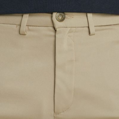 Cast Iron chino  CTR2508600-7146-7146 7