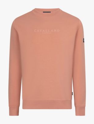 Cavallaro Napoli trui  120261008-335000