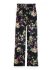 Aster Black