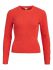 Hot Coral