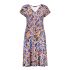 Blauw print