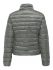 Castor Gray