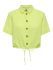 Lime Sherbet