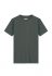Grey Green