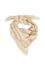 SAFARI BROWN DESSIN