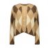 Bruin print
