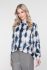 Blauw print