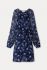 Blauw print