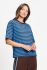 Blauw print