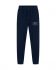 Blauw print