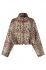 Bruin print