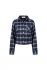 Blauw print